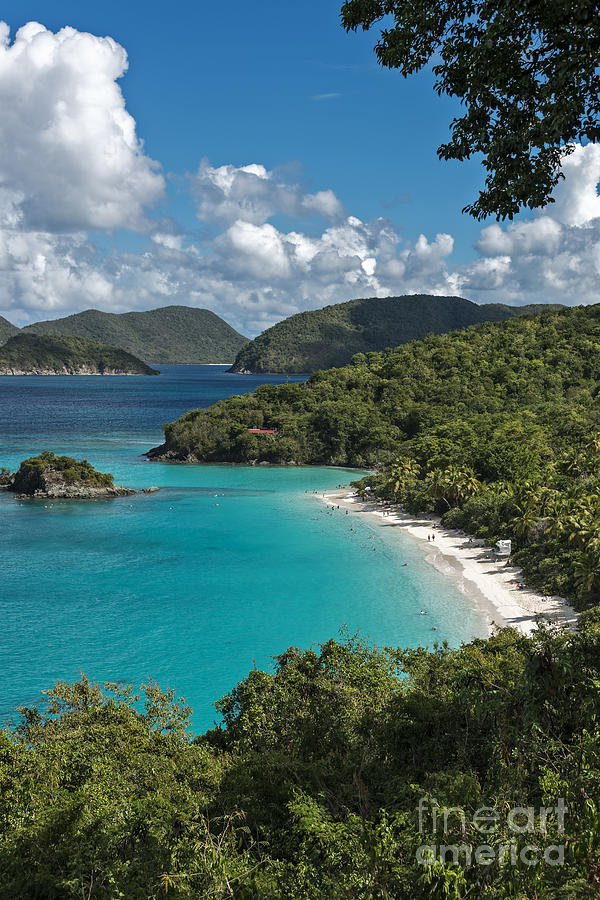 Pristine Tropical Landscape Photograph by Sheldon Kralstein