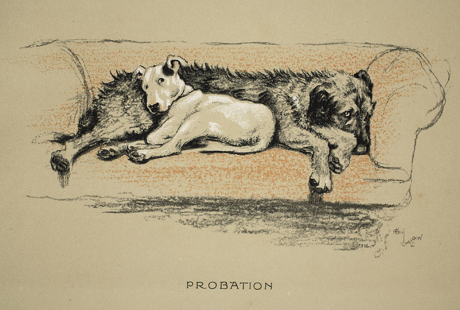 Probation, 1930, 1st Edition Drawing by Cecil Charles Windsor Aldin
