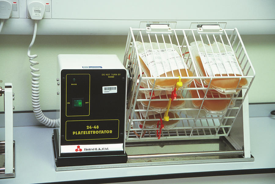 Processing Donor Blood Platelets Photograph by Antonia Reeve/science Photo Library