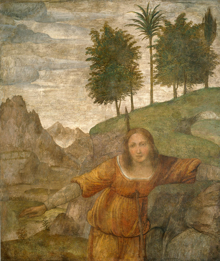 Bernardino Luini Painting - Procris Pierced by Cephalus Javelin by Bernardino Luini