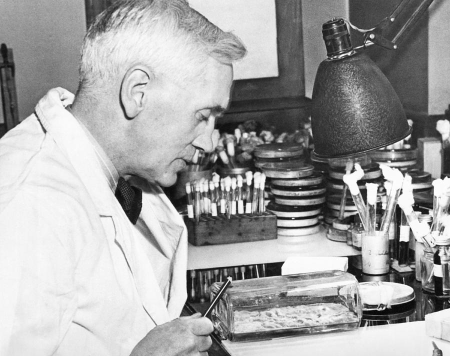 1940s Photograph - Professor Alexander Fleming by Underwood Archives 1940s Photograph - Professor Alexander Fleming by Underwood Archives