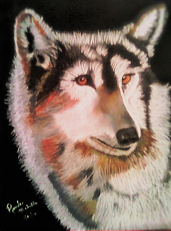 Profile of a Timber Wolf Pastel by Renee Michelle Wenker