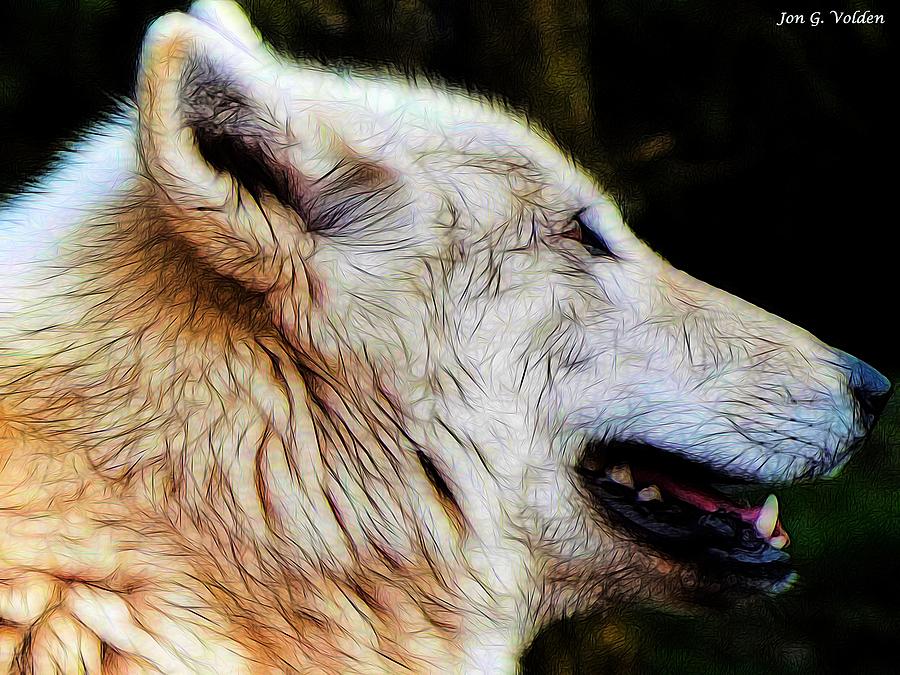 Wolves Painting - Profile Of A Wolf by Jon Volden