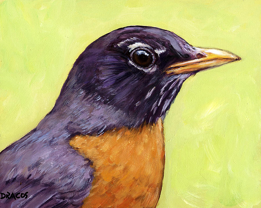 Robin Painting - Profile of Robin Bird on Light Green by Dottie Dracos
