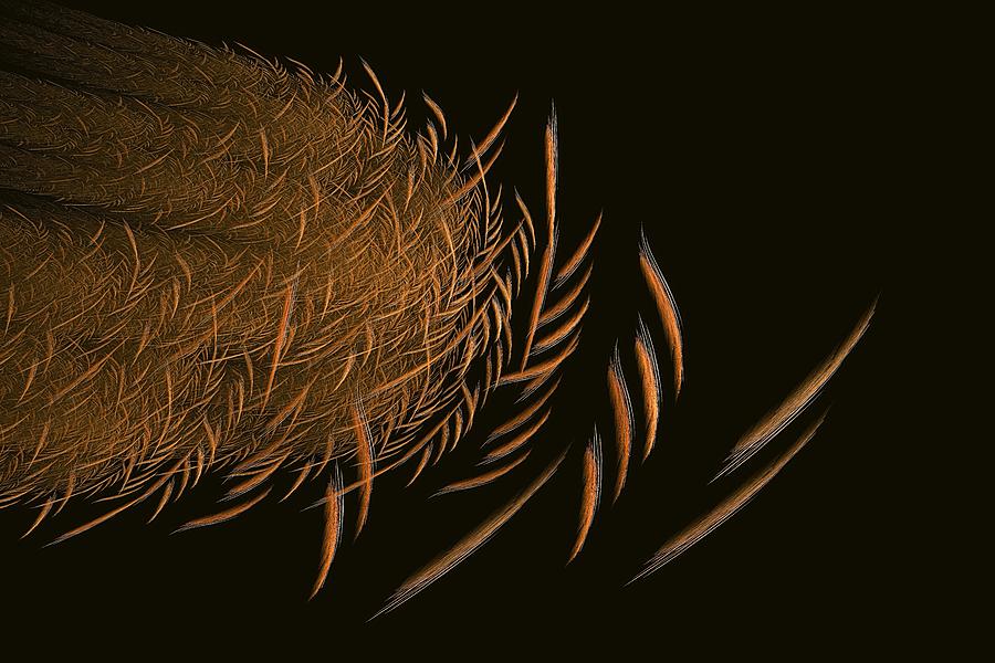 Fall Digital Art - Fall Wheat Fractal by Doug Morgan