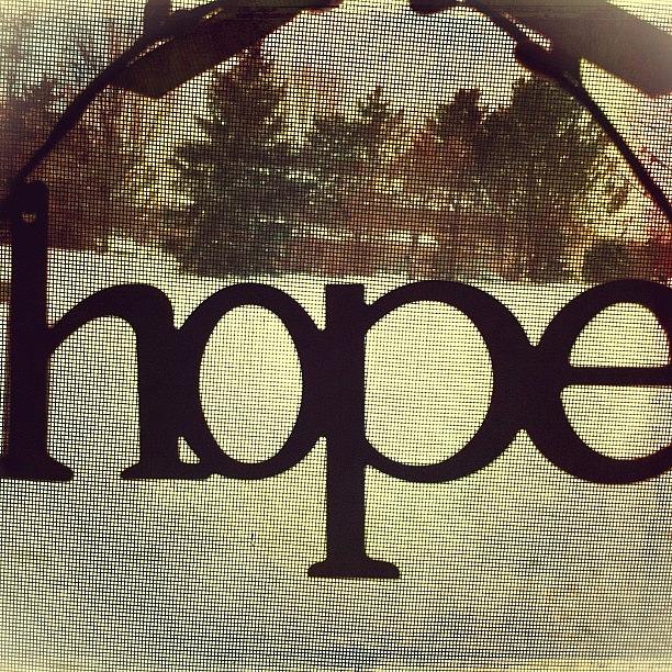 Resolution Photograph - #projectlife365 : Day 1 2013 : Hope For by Susan Schoultz