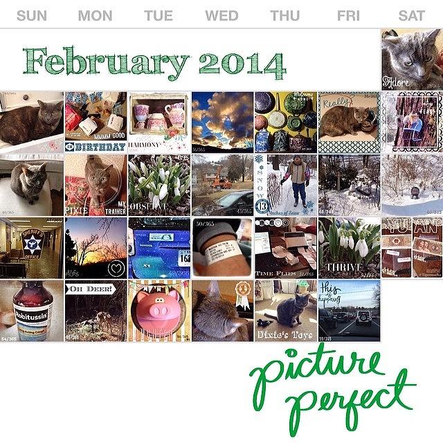 Collage Photograph - #projectlife365 Is Complete For by Teresa Mucha