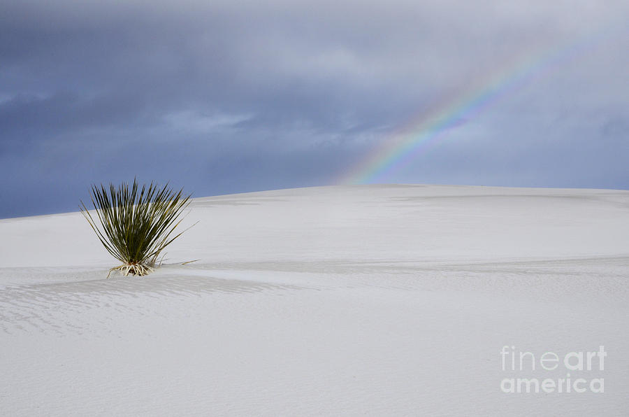 Promise Of New Mexico Photograph by Bob Christopher