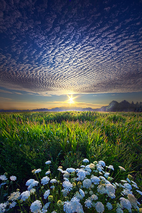 Promise Fulfilled Photograph by Phil Koch