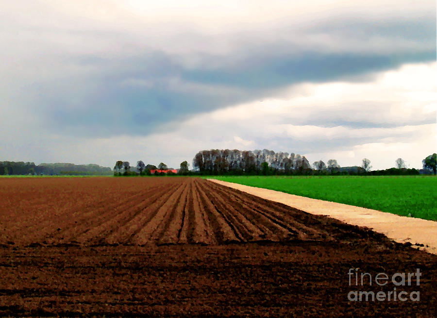 Promissing field by Luc Van de Steeg Promissing field by Luc Van de Steeg