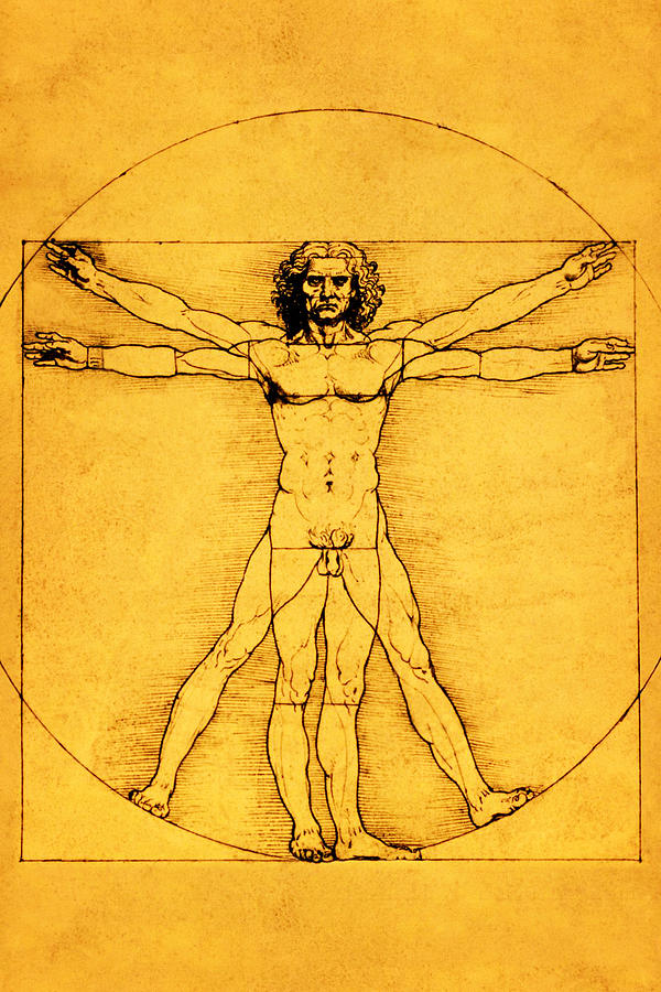 Proportions of the Human Figure Painting by Celestial Images