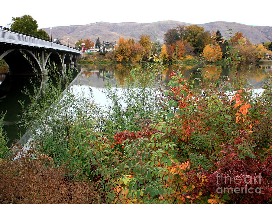 Prosser - Autumn Bridge Photograph by Carol Groenen