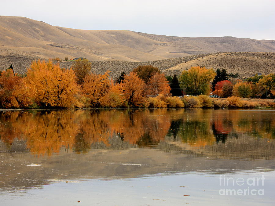 Prosser Autumn Reflection Photograph by Carol Groenen