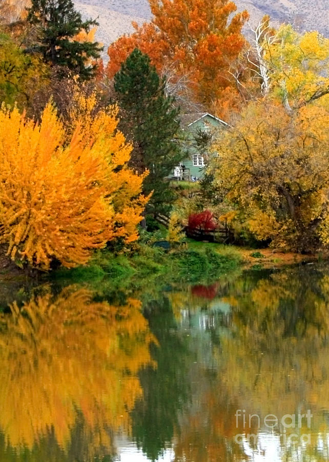 Prosser - Fall Reflection with Hills Photograph by Carol Groenen