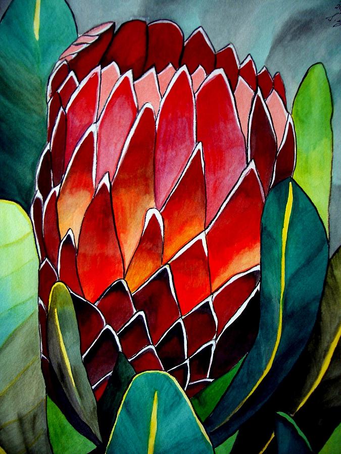 Protea Painting - Protea by Sacha Grossel Protea Painting - Protea by Sacha Grossel