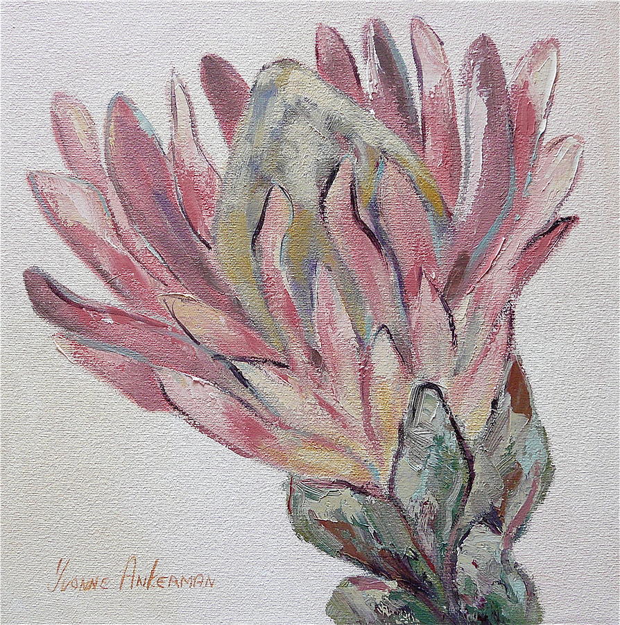 Flower Painting - Protea study 1 by Yvonne Ankerman
