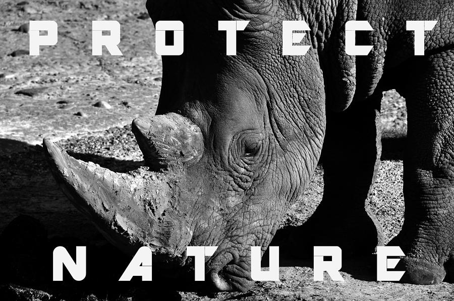 Black And White Photograph - Protect Nature by David Lee Thompson