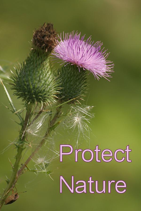 Protect Nature Photograph by Doris Potter