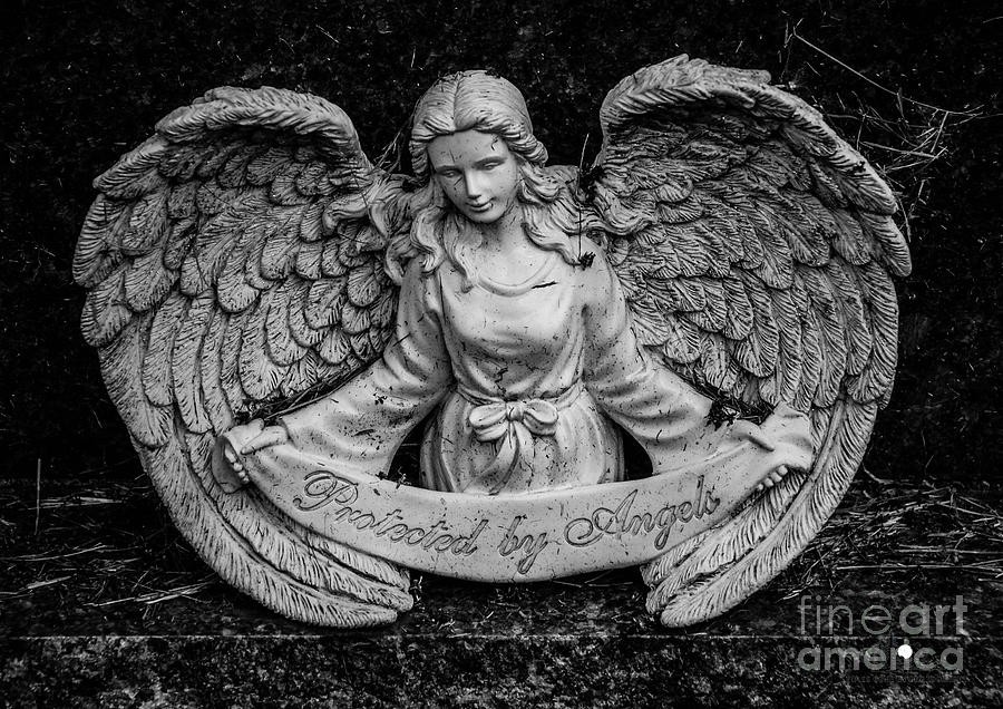 Protected by Angels Photograph by Grace Grogan