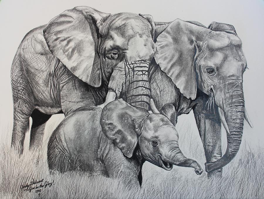 Protection Drawing by Carolyn Valcourt | Fine Art America Realistic Drawings Of Elephants