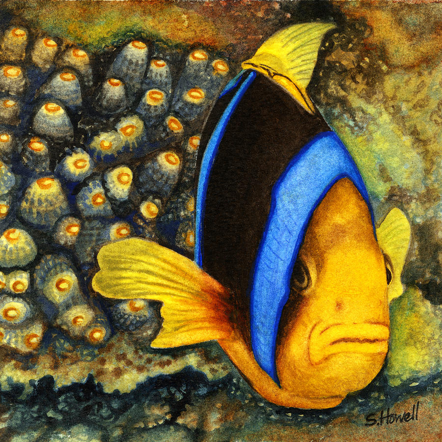 Tropical Fish Painting - Protective Clown Fish by Sandi Howell