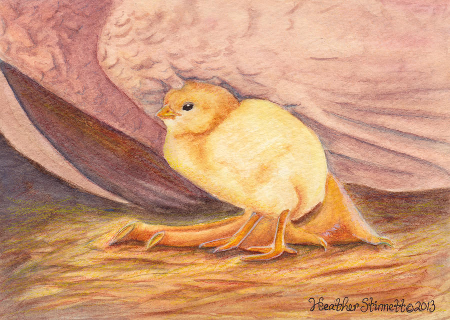 Chicken Painting - Protective Wings by Heather Stinnett