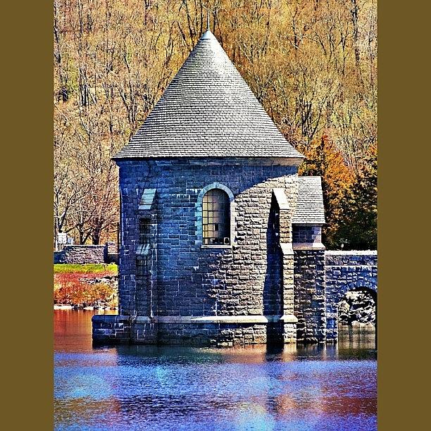 Nature Photograph - Protector Of The Mystical Reservoir by Katie Phillips