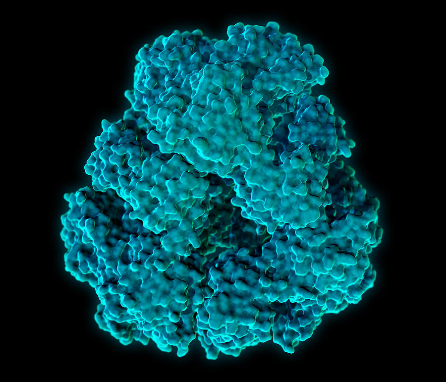 Protein Cage, Molecular Model Photograph by Evan Oto
