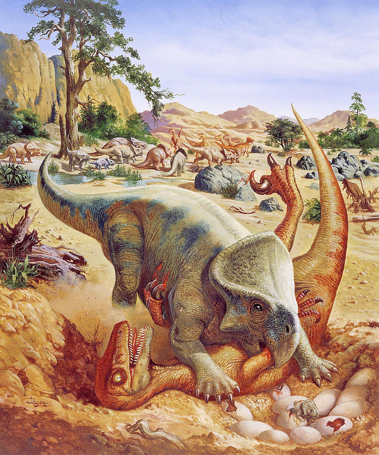 velociraptor protoceratops fighting