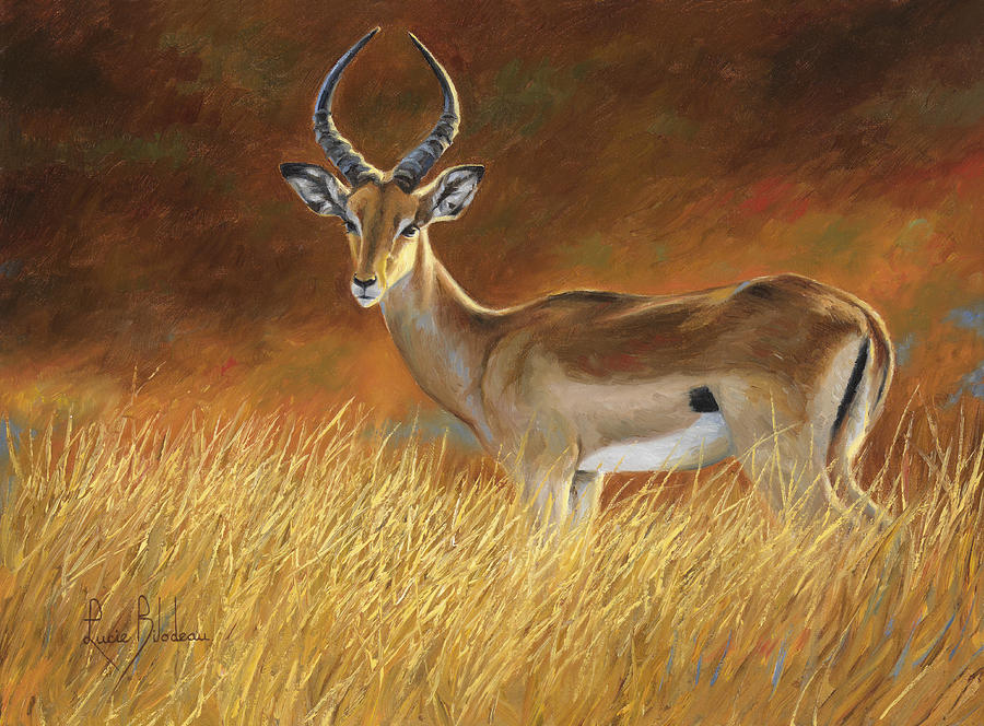 Animal Painting - Proud Male by Lucie Bilodeau
