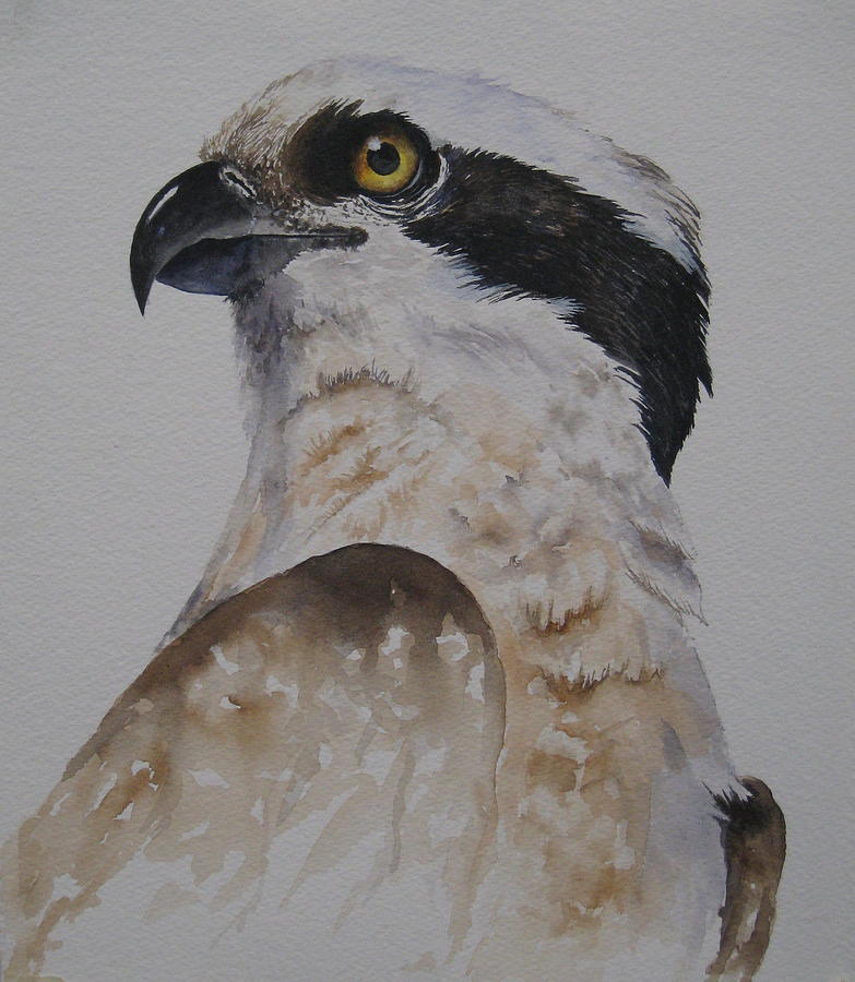 Proud Osprey Painting by Mary McCullah