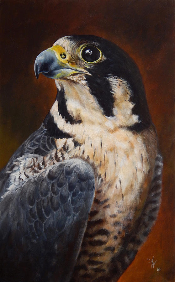 Proud - Peregrine Falcon Painting by Arie Van der Wijst