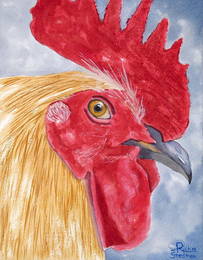 Proud Rooster Painting by Richard Stedman