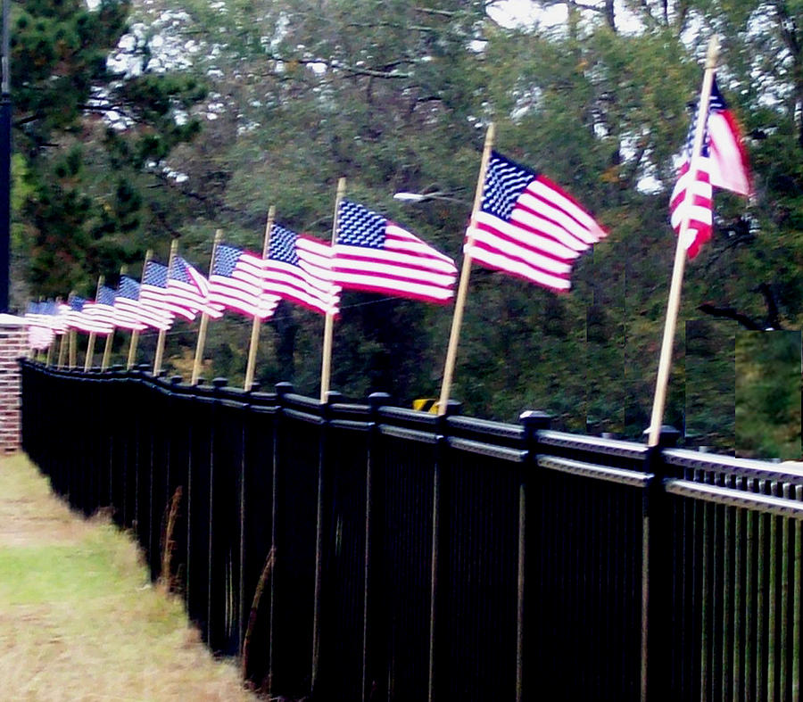 Proud to be an American Photograph by De Beall - Fine Art America