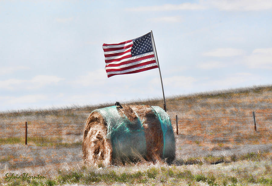 Proud to be an American Photograph by Sylvia Thornton