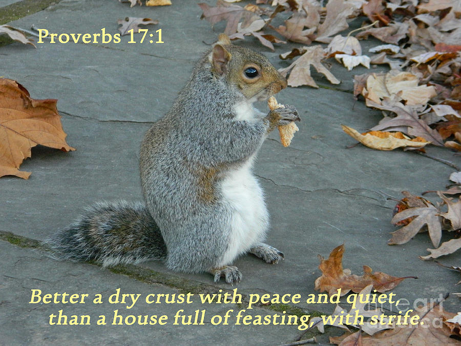 Proverbs 17-1 Photograph by Emmy Vickers