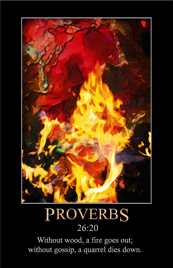 Proverbs 26 Digital Art by John Haldane
