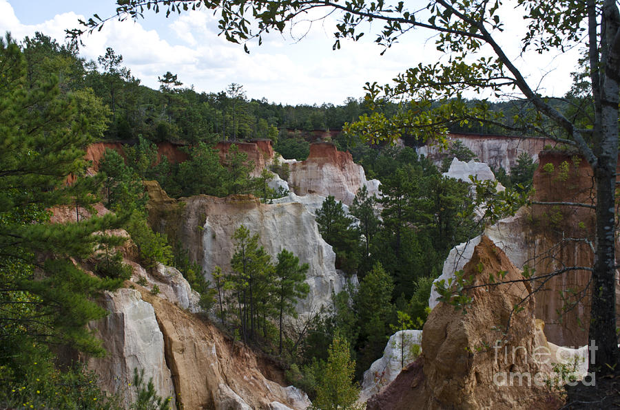 Adventure Photograph - Providence Canyon by Debra Johnson Adventure Photograph - Providence Canyon by Debra Johnson