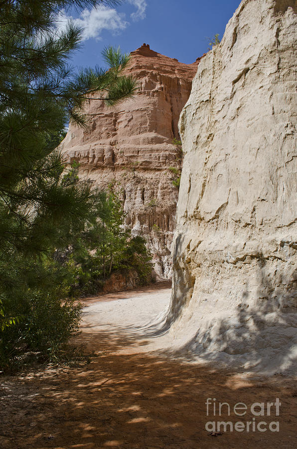 Adventure Photograph - Providence Canyon Floor by Debra Johnson Adventure Photograph - Providence Canyon Floor by Debra Johnson