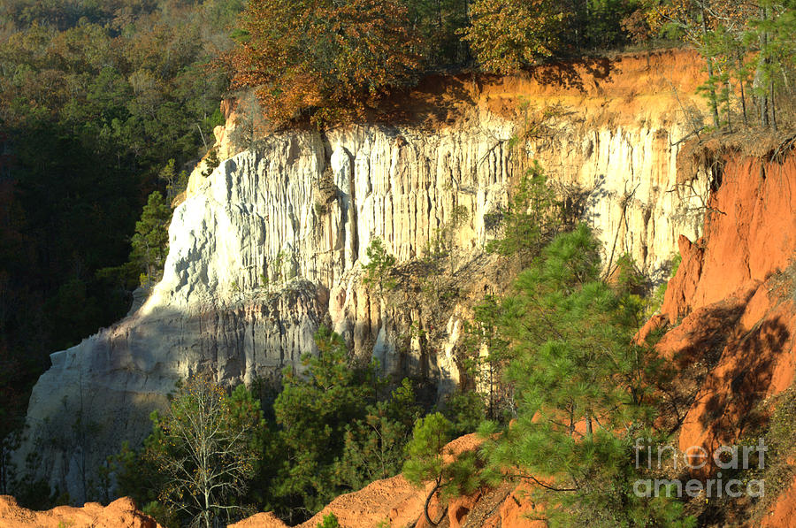 Providence Canyon State Park Photograph by Donna Brown