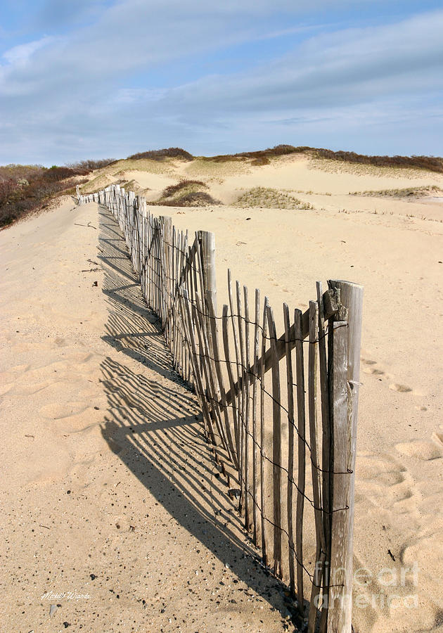 Province Lands Dune Fence Photograph by Michelle Constantine