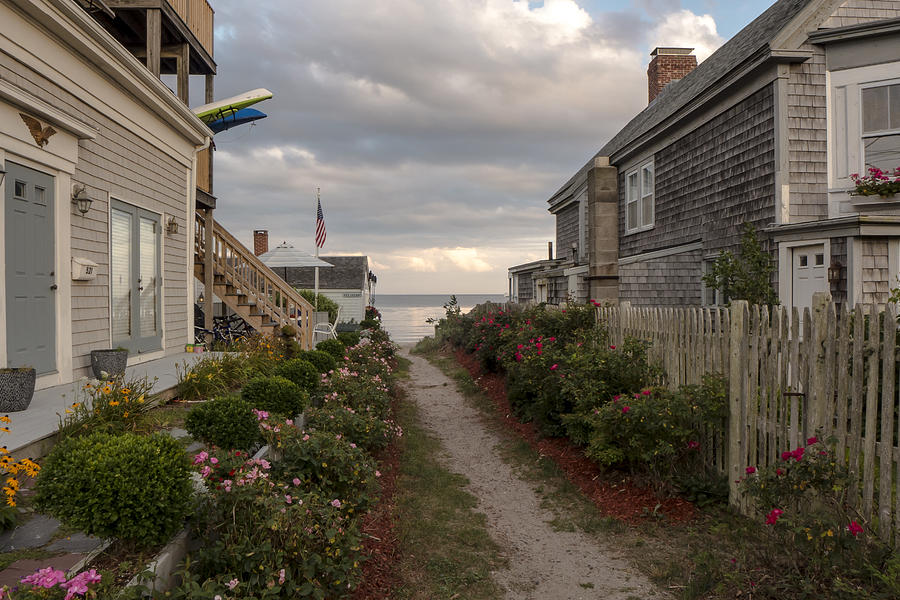 Rose Photograph - Provincetown Alley by Frank Winters