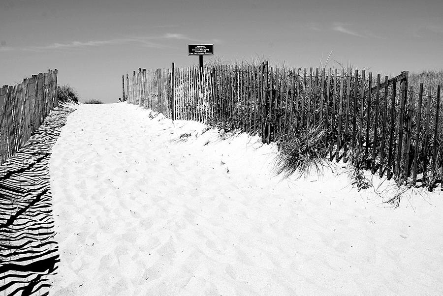 Beach Photograph - Provincetown Dunes on Cape Cod by Caroline Stella