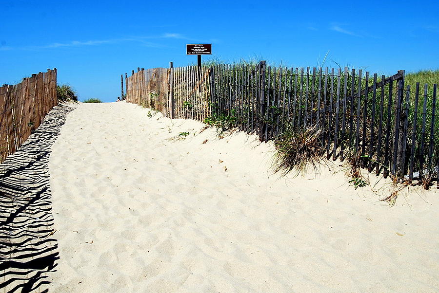 Provincetown Dunes in Color Photograph by Caroline Stella