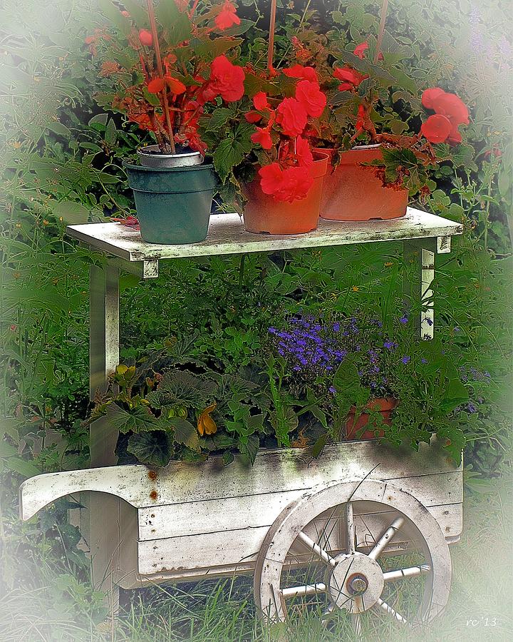 Provincetown Flower Cart Photograph by Rene Crystal