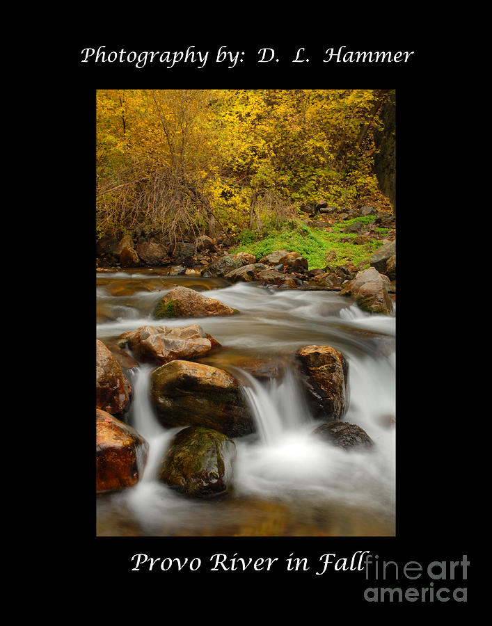 Provo River in Fall Photograph by Dennis Hammer