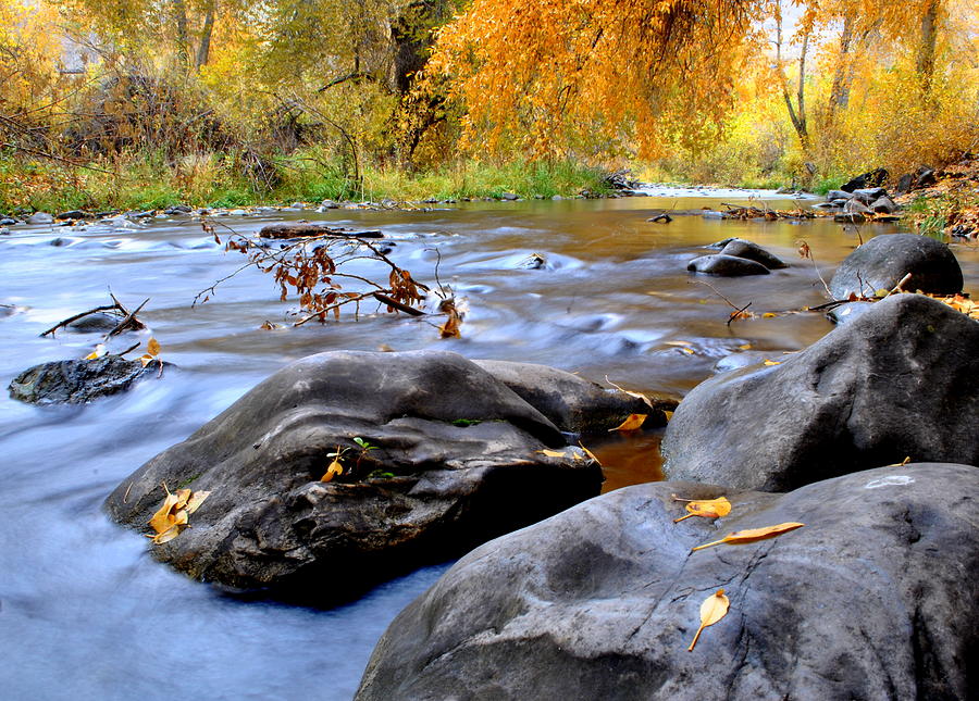 Provo River in Fall Photograph by Nathan Abbott