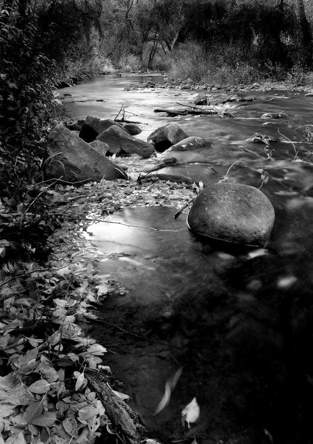 Provo River Monochrome Photograph by Nathan Abbott