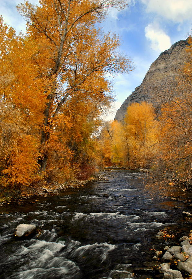 Provo River Utah Photograph by Nathan Abbott
