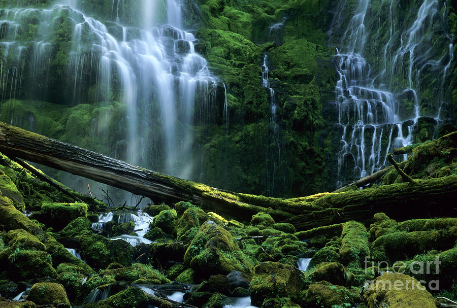 Waterfall Photograph - Proxy Falls by Bob Christopher